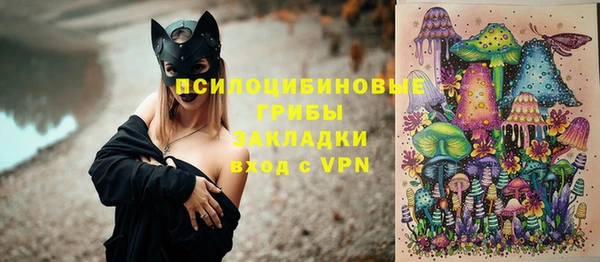 мяу мяу мука Арсеньев
