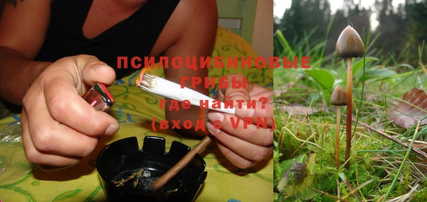 a pvp Аркадак