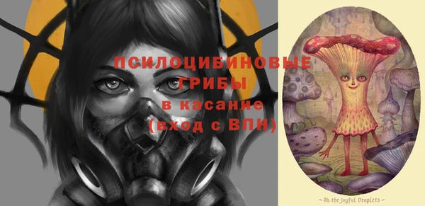 мяу мяу мука Арсеньев