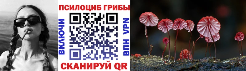 Псилоцибиновые грибы GOLDEN TEACHER цена наркотик Рошаль