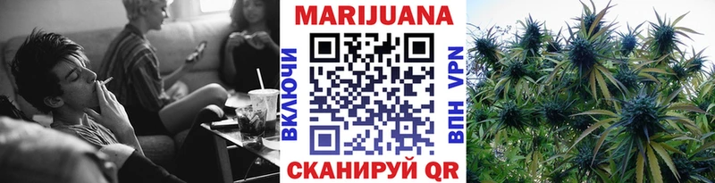 Марихуана план  Рошаль 
